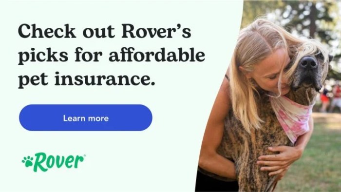 Does pets best insurance cover hip dysplasia