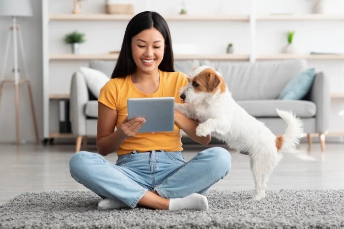 Pets best insurance california