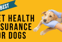 Pet best dog insurance