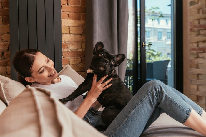 Pets best dog insurance reviews