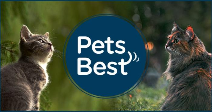Insurance pet guide topdogtips dog beginner dogs so many ith plans article Pets best pet insurance