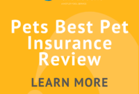 Pet insurance reviews healthy our