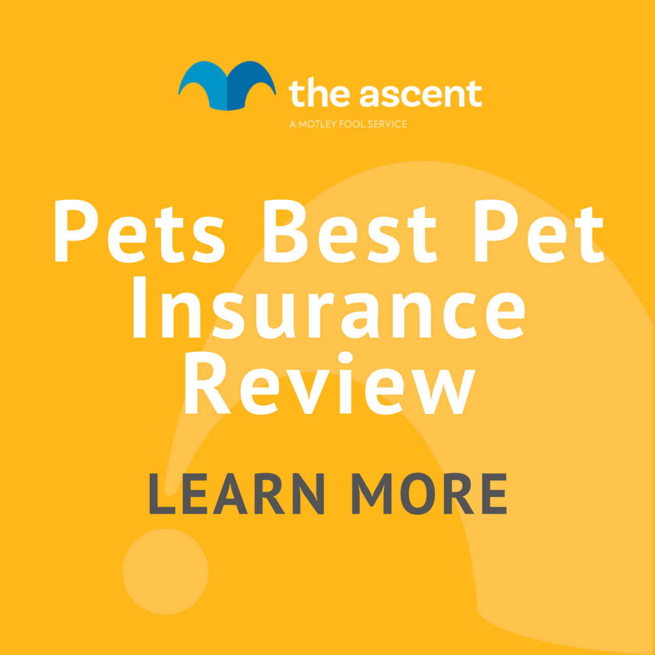Pet insurance reviews healthy our Pet insurance reviews healthy our