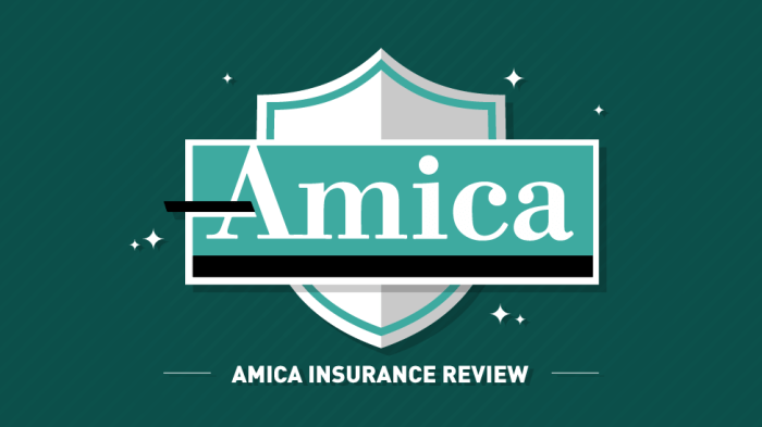 Amica life insurance company