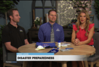 Kati cheek: allstate insurance