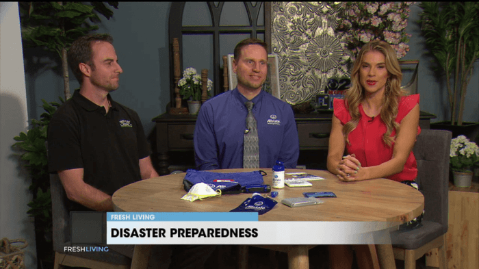 Kati cheek: allstate insurance