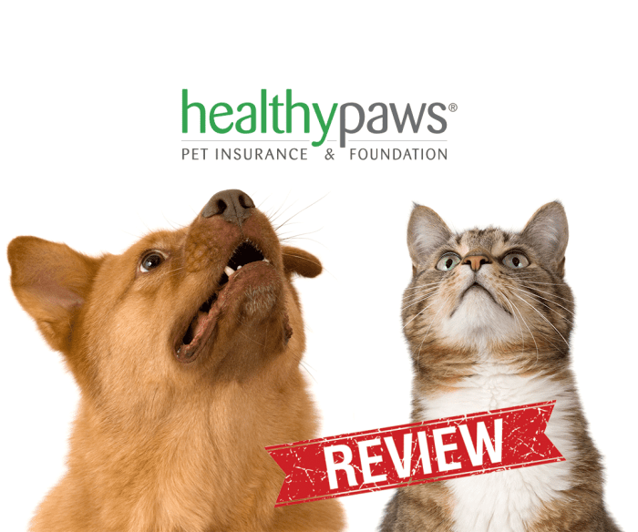 Pet's best pet insurance