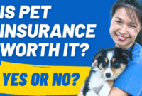 Why is pets best insurance so cheap
