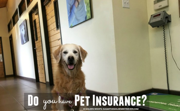 Pet's best pet insurance