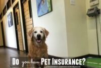 Insurance coverage