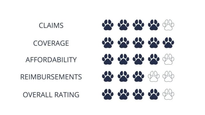 Is pets best insurance accepted everywhere