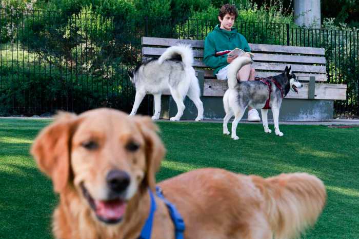 Pets best insurance california